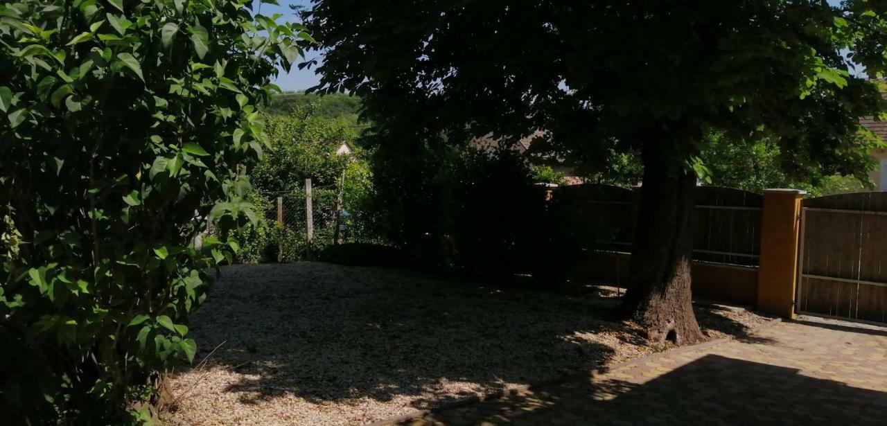 Gesztenye Vendeghaz Sagvar Bagian luar foto